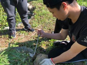 今年單車環島其中一項企業募款的回饋，就是用拔草換取經費的贊助，所以這個風和日麗的周六早晨，青草們出發到大溪拔草去！首先，負責庭院的種子媽媽帶我們認識大花咸豐草，因為外來的咸豐草真的太多，影響到整個生態系，所以需要青草們幫忙將它們清除乾淨。接著就是需要更細心的動作了，每個人分區仔細地整理長得太高、搶走養分的雜草，還要細心分辨作物、花卉的差別。 | 小草書屋∞青草職能學苑