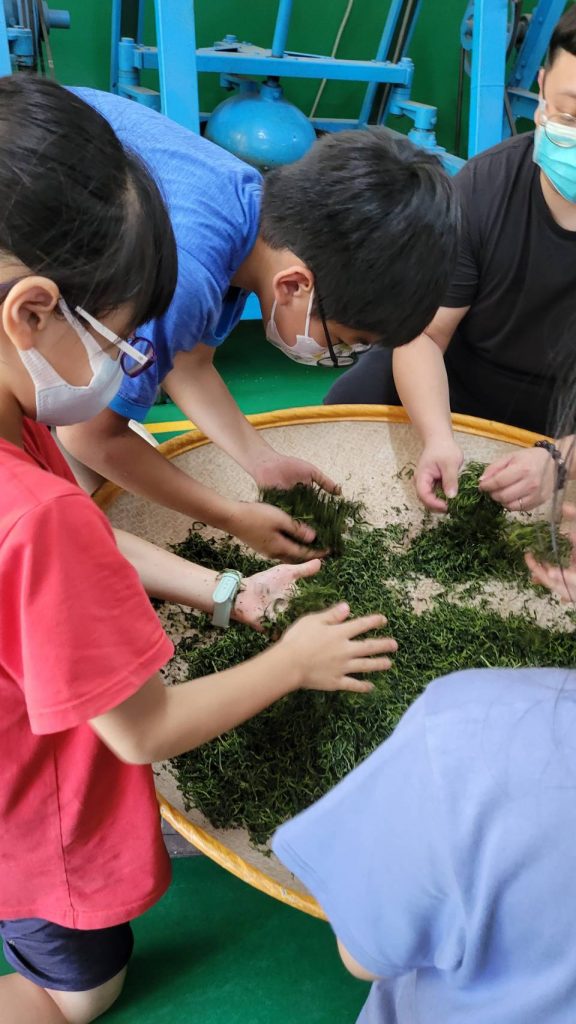 小草來到了三峽的天芳茶行，在瞭解三峽製茶歷史，以及不同種類的茶應有的製程與風味過後，於豔陽的洗禮下，成了一日小茶農體驗鄉土教育及食農教育的特色課程；今天小草們的師父是由天芳茶行第五代—黃耀寬職人擔當，該茶行出產的茗茶種類豐富，除了白茶、碧螺春綠茶、龍井綠茶外，還有發酵程度高的包種茶及蜜香紅茶，並多次於台灣茶比賽中脫穎而出、取得優勝。 | 小草書屋∞青草職能學苑