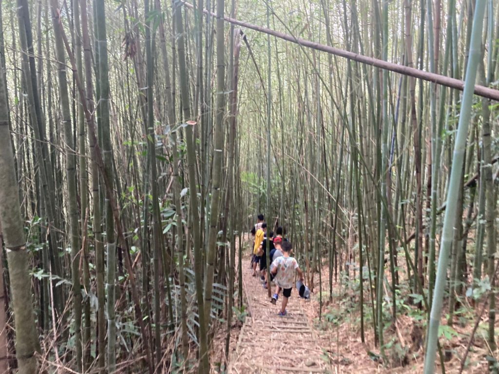 暑假開始了，大溪分部規劃了八週八營隊，從地景藝術到食農教育，從木藝到建築，還有一週，特別留給了泰雅族文化。趁著地利之便，這一週，我們帶著孩子走進山裡的原住民部落，看看種滿了椴木菇溫室，跟著泰雅族的大哥哥漫步在山路上，走在竹林裡，看樹、看蟲、找野菜、看水源，聽打獵的故事。 | 小草書屋∞青草職能學苑