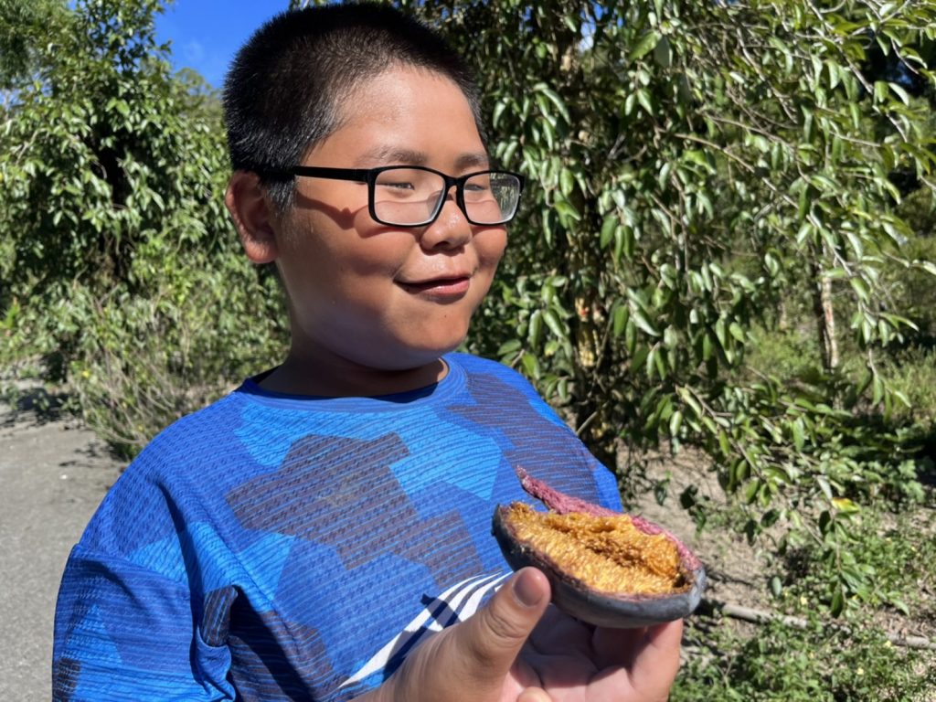 囝仔來呷茶—山林中的茶席，從三峽的家鄉茶為起點學習採茶與製茶，了解了台灣茶，延伸到世界經典茶，體驗世界不同喝茶文化，都有其特別且有趣之處。環島目標是嘗遍各地美食。出發前青草的環島目標宣言，青草孩子們期待著想把台灣各地的美食吃遍遍。七娘媽的守護在現代商業化的社會中，「七夕」儼然成為了情人節的另一個代名詞，但其實在台灣傳統信仰裡，農曆七月七日是「七娘媽——織女」的生日。 | 小草書屋∞青草職能學苑