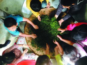 一日小茶農-這一天我們在茶園裡奔跑 | 小草現場